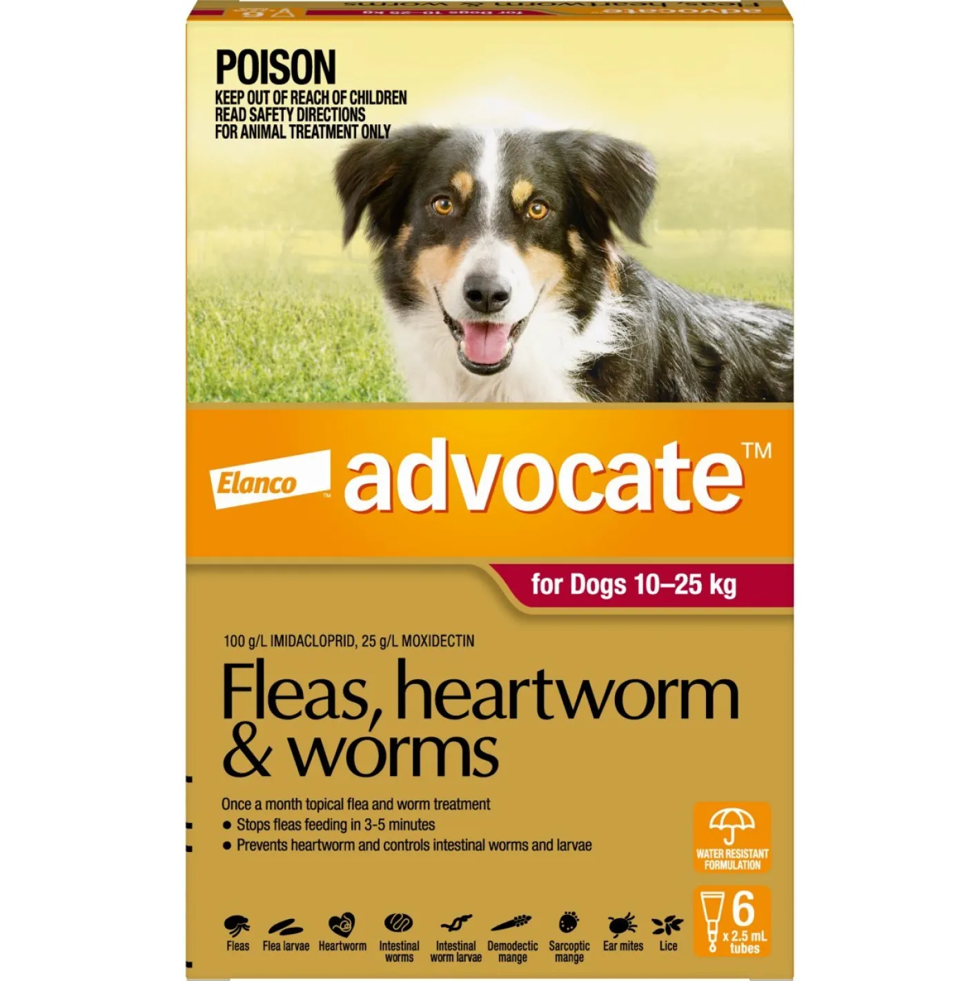 Advocate Spot-On Flea & Worm Control for Dogs 10-25kg - 6-pack New