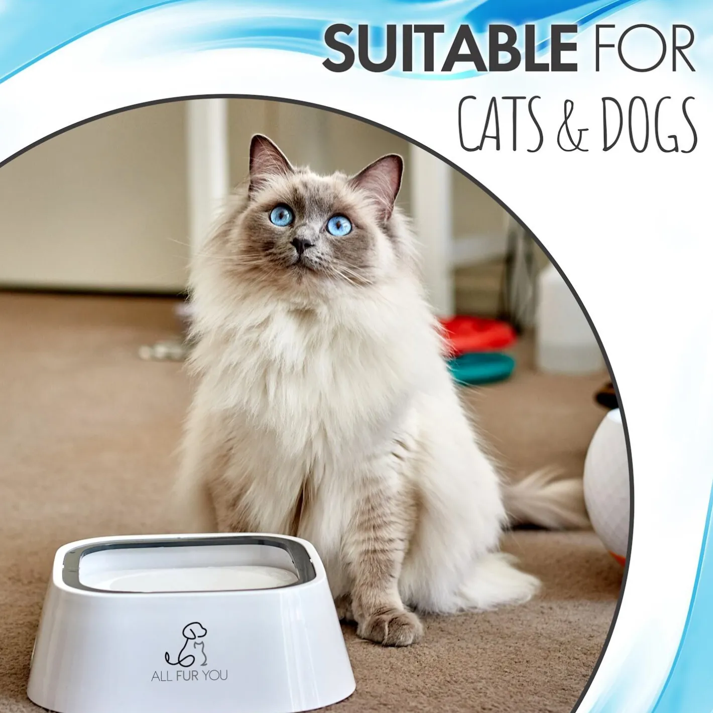 All Fur You Anti Splash Bowl Grey | No Mess Pet Water Bowl 1L New