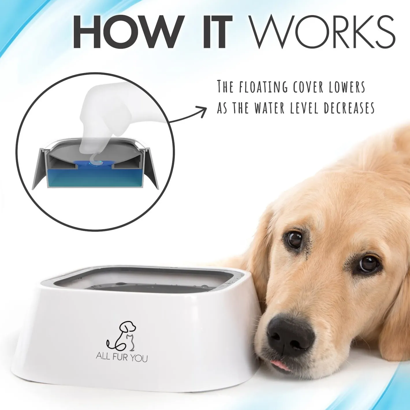 All Fur You Anti Splash Bowl White | No Mess Pet Water Bowl 1L New