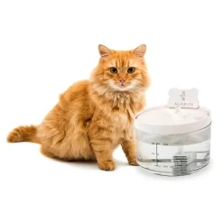 All Fur You Auto Sensor Water Fountain USB | Smart Pet Hydration Outlet