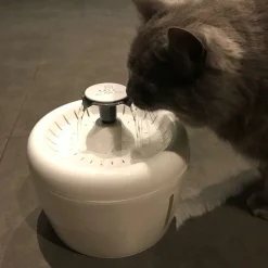 All Fur You Whisper Water Fountain | Silent & Clean Hydration Clearance