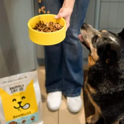 Animals Like Us Dog Food RawMix33 Grass-Fed Beef 33% Freeze Dried Raw - 2kg Online