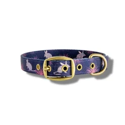 Anipal Billie The Bilby Brass & 100% Recycled Dog Collar Hot