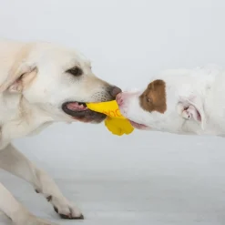 Aussie Dog Eightathong Floating Tug Dog Toy - Large Sale