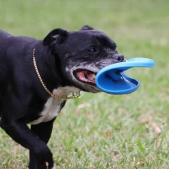 Aussie Dog Flying Disc Fetch Dog Toy - Blue Soft Frisbee New