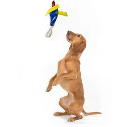 Aussie Dog Heavy Duty Bungie Chook Tough Hanging Dog Toy Online