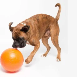 Aussie Dog Staffie Ball - Extra Tough Large Rattle Dog Toy Outlet
