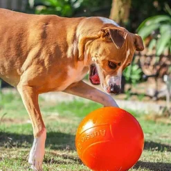 Aussie Dog Staffie Ball - Extra Tough Large Rattle Dog Toy Outlet
