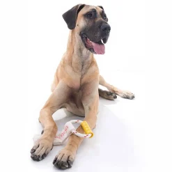 Aussie Dog Tugathong Tough Tug Dog Toy for Large Dogs over 30kg Sale
