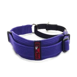 BlackDog Wear Black Dog Sighthound Martingale Collar for Greyhounds New