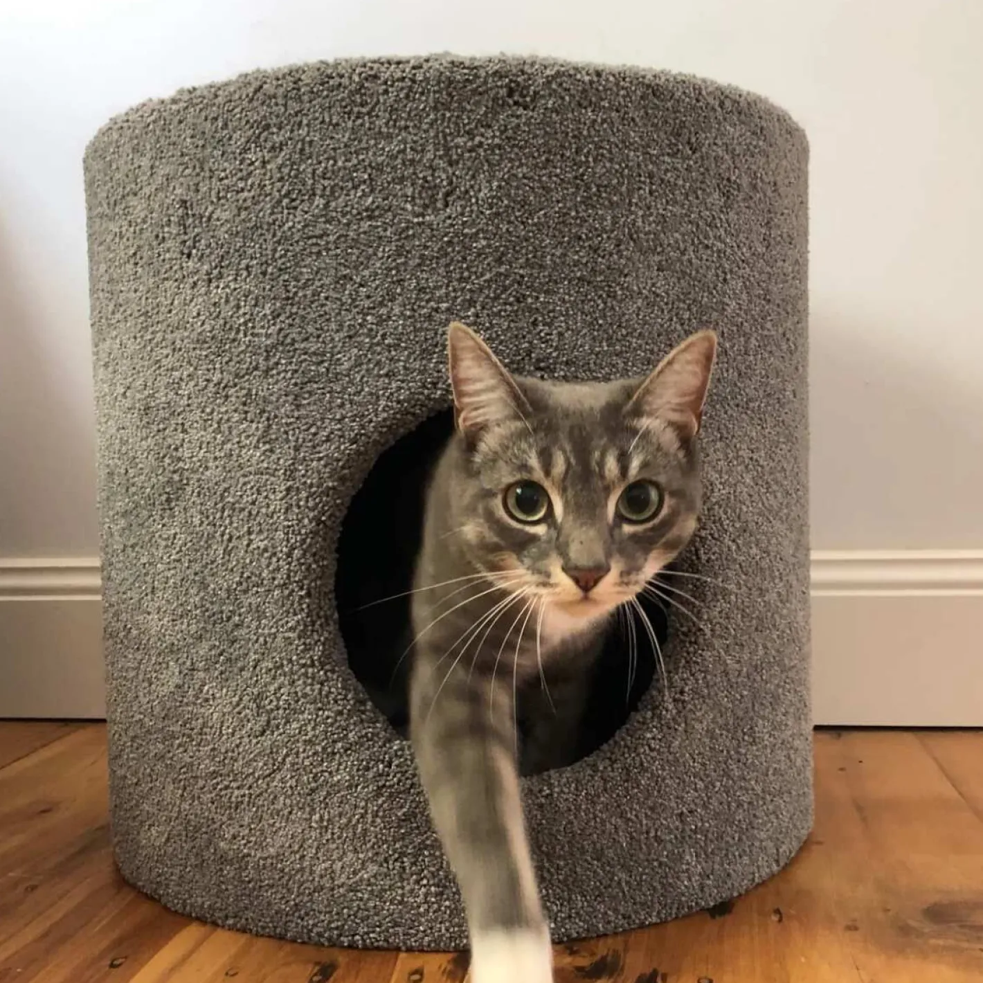 Bosscat Franco Premium Cat Scratcher Cubbie with Claw-Care Carpet Best