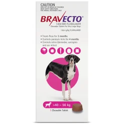 Bravecto Dog 3-Month Single Chew for Flea & Tick Control Fashion