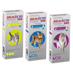 Bravecto PLUS Spot-On 3 month Flea, Tick & Worm Protection - For Cats of All Sizes New