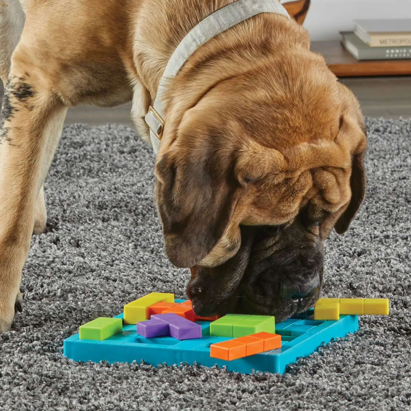 Brightkins Brain Teaser Interactive Dog Treat & Food Puzzle Sale