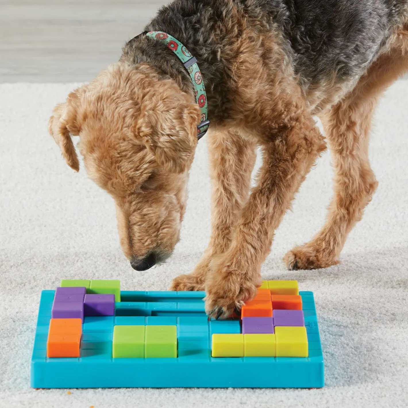 Brightkins Brain Teaser Interactive Dog Treat & Food Puzzle Sale