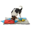 Buster Canvas Activity Snuffle Mat Starter Kit Interactive Dog Toy with 3 Activities Included Clearance