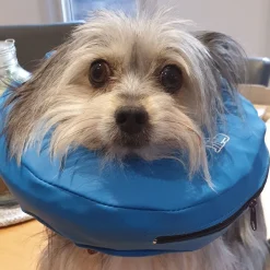 Buster Inflatable Medical Post Surgery Protective Nylon Pet Collar for Cats & Dogs Fashion