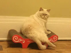 Catit Cardboard Cat Scratch Lounger "Urban Bench" Outlet
