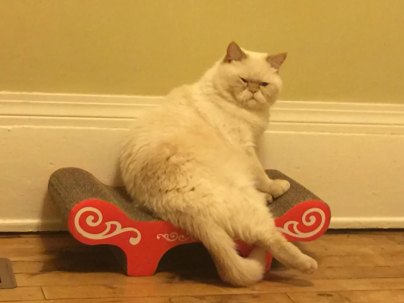 Catit Cardboard Cat Scratch Lounger "Urban Bench" Outlet