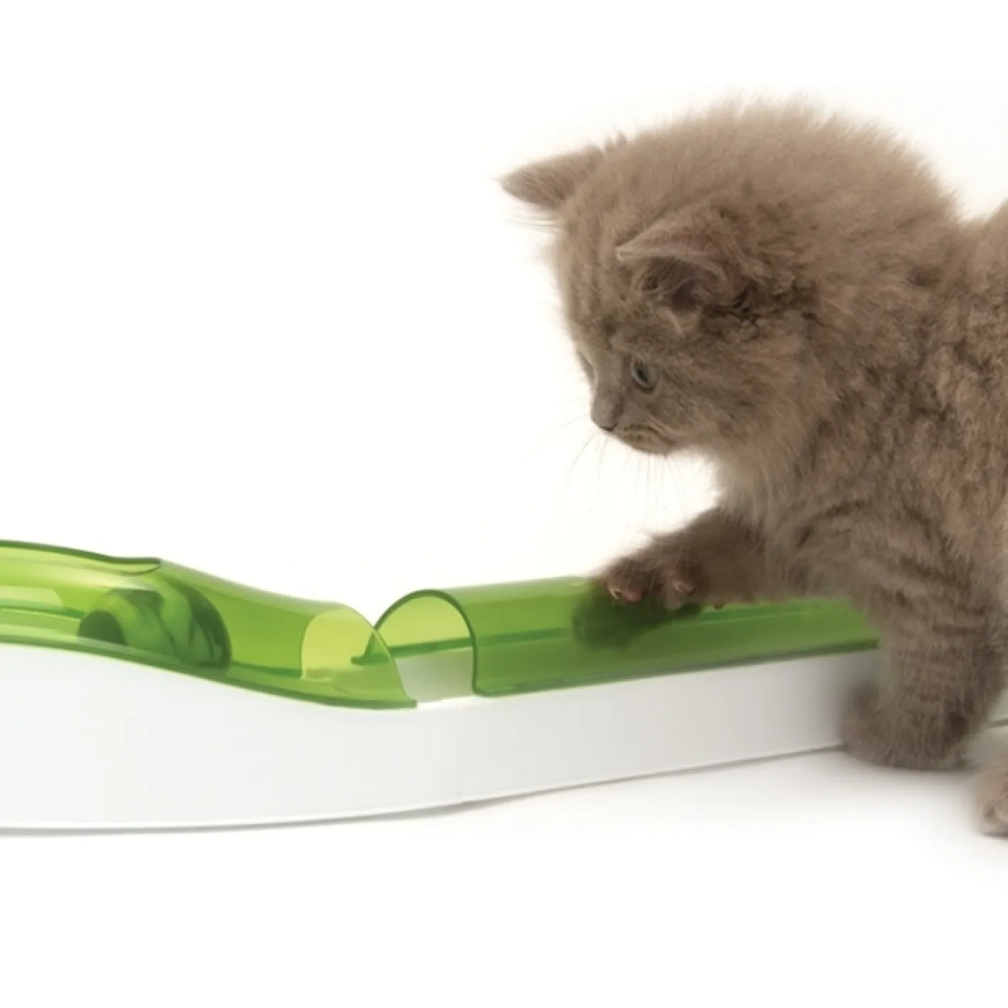 Catit Senses 2.0 Wave Circuit Interactive Ball Chaser Cat Toy Best