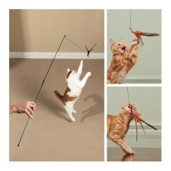 Go Cat Da Bird Replacement Turkey Feather for the Original Cat Teaser Wand Toy Online