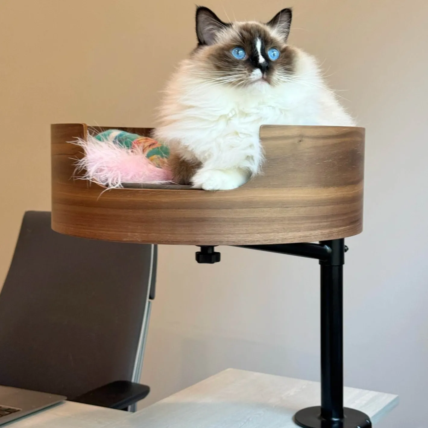 Desk Nest Cat Bed - The Purrfect Cat Bed for Your Desk Online