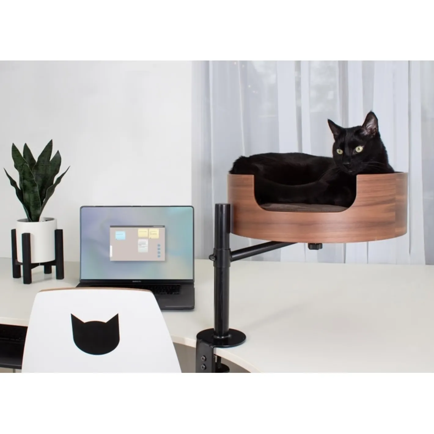 Desk Nest Cat Bed - The Purrfect Cat Bed for Your Desk Online