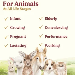 Di-Vetelact Advanced Nutritional Supplement & Milk Replacer for Newborn to Senior Pets Fashion