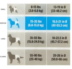 Dogit Disposable Dog Diapers for Senior Incontinence & Puppies - 12 Nappies Best