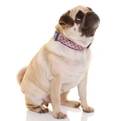 Doog Neoprene Clip Dog Collar - Gromit - Red & Navy Diamond New
