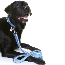 Doog Neoprene Clip Dog Collar - Pluto Blue Waves Sale