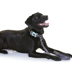 Doog Neoprene Clip Dog Collar - Pongo - Black & White Spots New