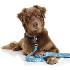 Doog Neoprene Dog Lead - Snoopy - Blue & White Spots Fashion