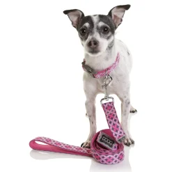 Doog Neoprene Dog Lead - Toto - Geometric Pink & Navy Discount