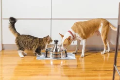 Drinkwell 360 Stainless Steel Multi-Pet Drinking Fountain 3.8 Litres Discount