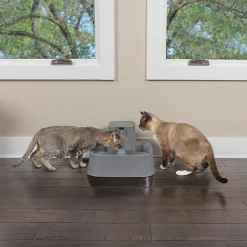 Drinkwell Charcoal Filtered Pet Water Fountain for Cats & Dogs - 3.7 Litre Sale