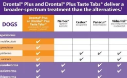 Drontal All-Wormer for Small Dogs & Puppies to 3kg - 4 Tablets Fashion