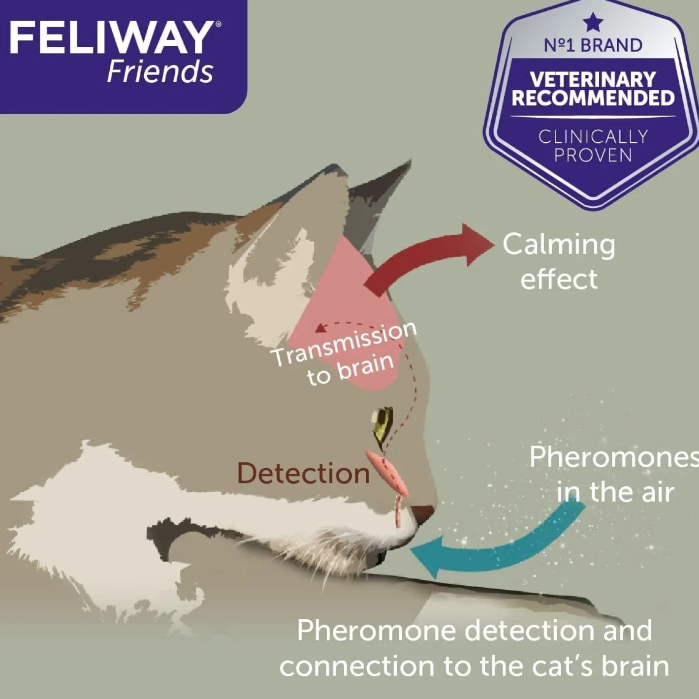Feliway Friends Calming Pheromone for Multi-Cats - 48ml Refill Bottle Sale