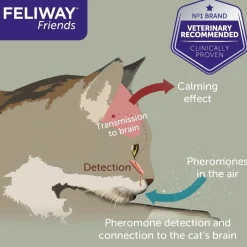Feliway Friends Calming Pheromone for Multi-Cat Homes - Diffuser Kit with 48ml Bottle Discount