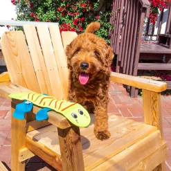 Outward Hound Fire Biterz Tough Green Lizard Dog Toy Best