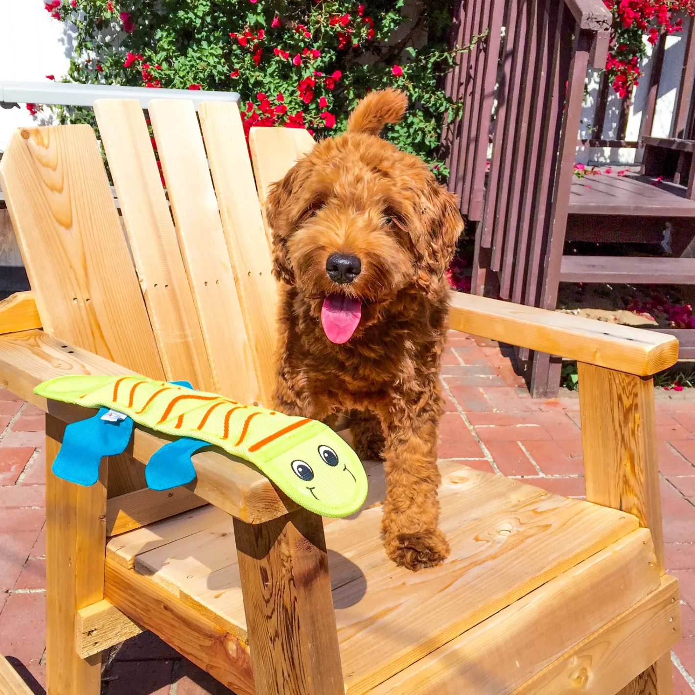 Outward Hound Fire Biterz Tough Green Lizard Dog Toy Best