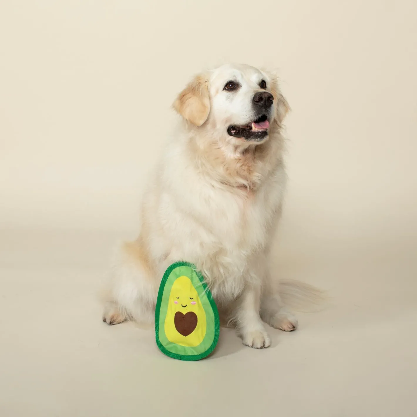 Fringe Studio Avocado Love No Stuffing Plush Dog Toy Online