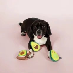 Fringe Studio Avocado on Toast 3-piece Small Dog Toys Sale