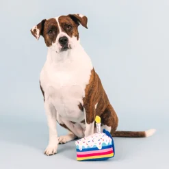 Fringe Studio Cake It Easy Plush Dog Toy Best