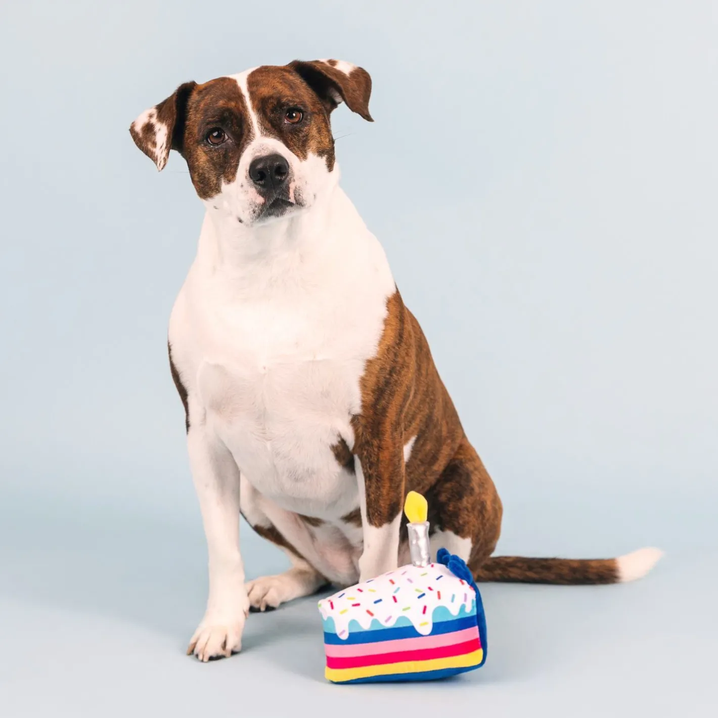 Fringe Studio Cake It Easy Plush Dog Toy Best