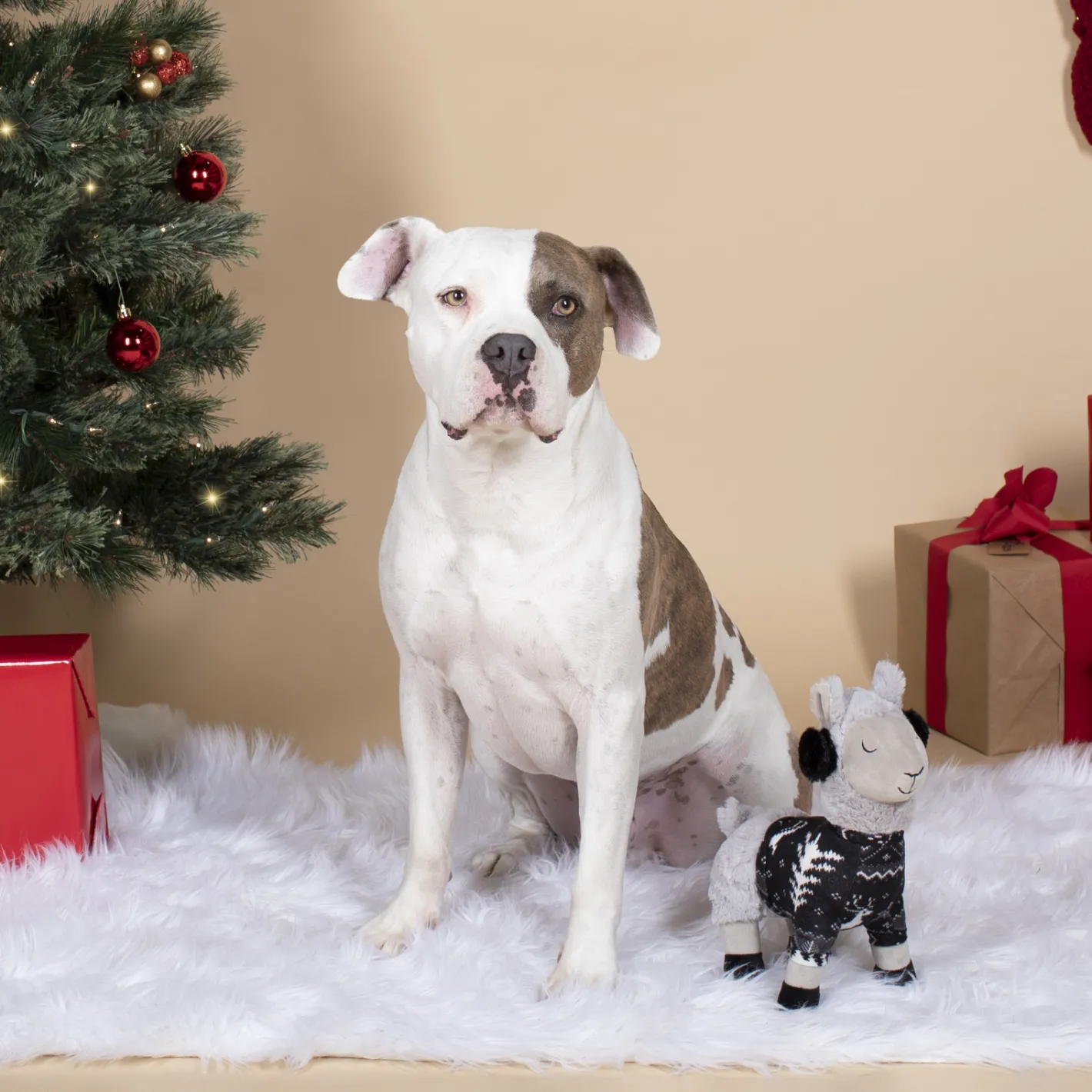 Fringe Studio Christmas Fa La La La Llama Plush Dog Toy Fashion
