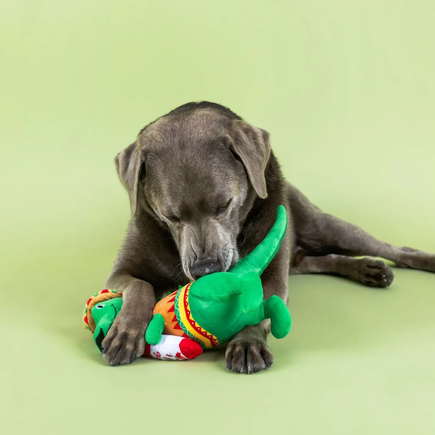 Fringe Studio Fiesta Saurus Dinosaur Plush Dog Toy - Extra Large Online