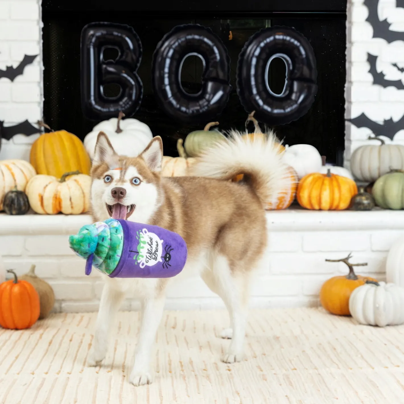 Fringe Studio Halloween Plush Squeaker Dog Toy - Witches Brew Best