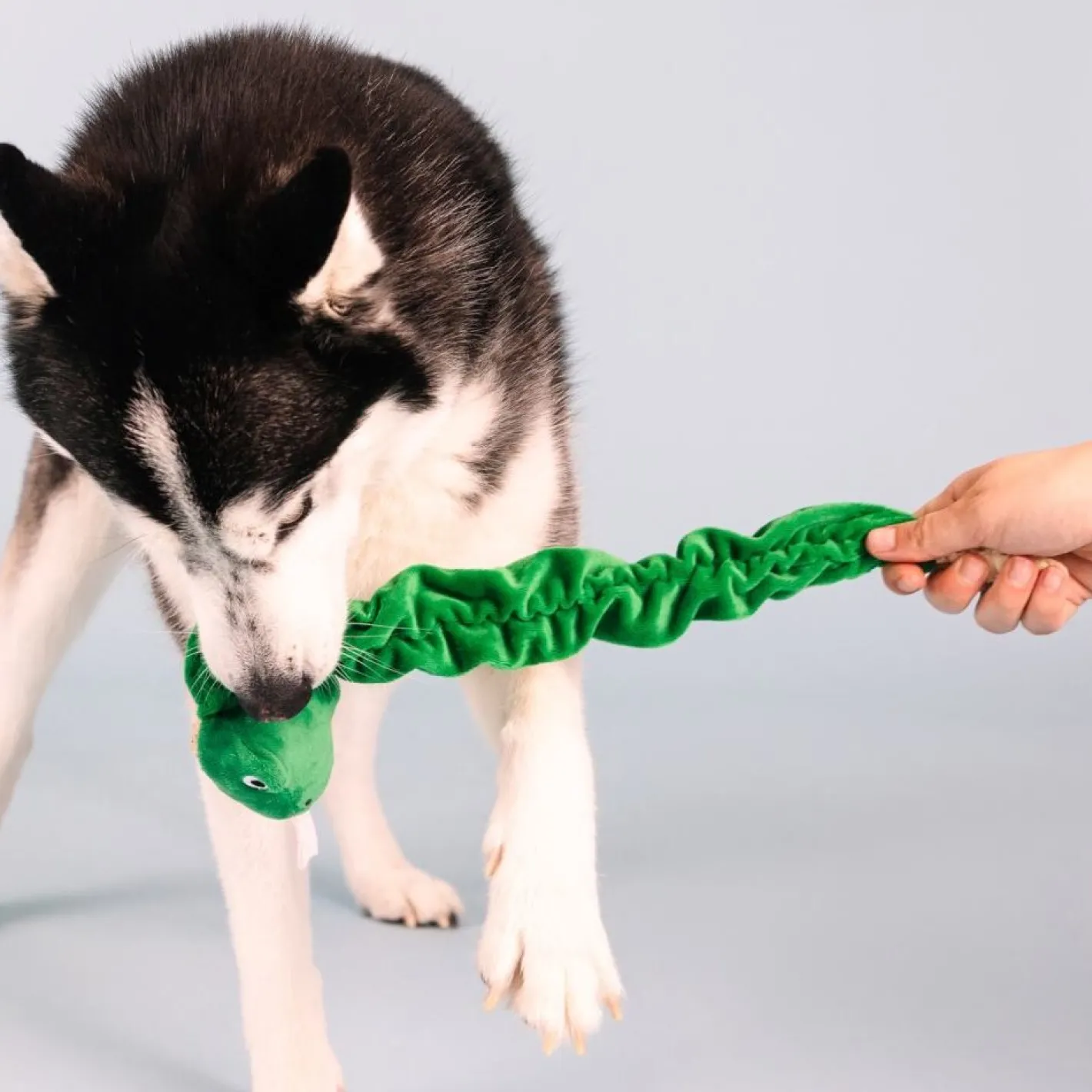 Fringe Studio Hisses & Kisses Tuggable Plush Dog Toy Online