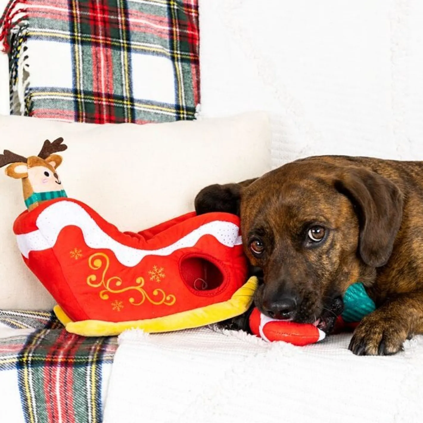 Fringe Studio Hold On For Deer Life Hide & Seek Burrow Christmas Dog Toy Clearance